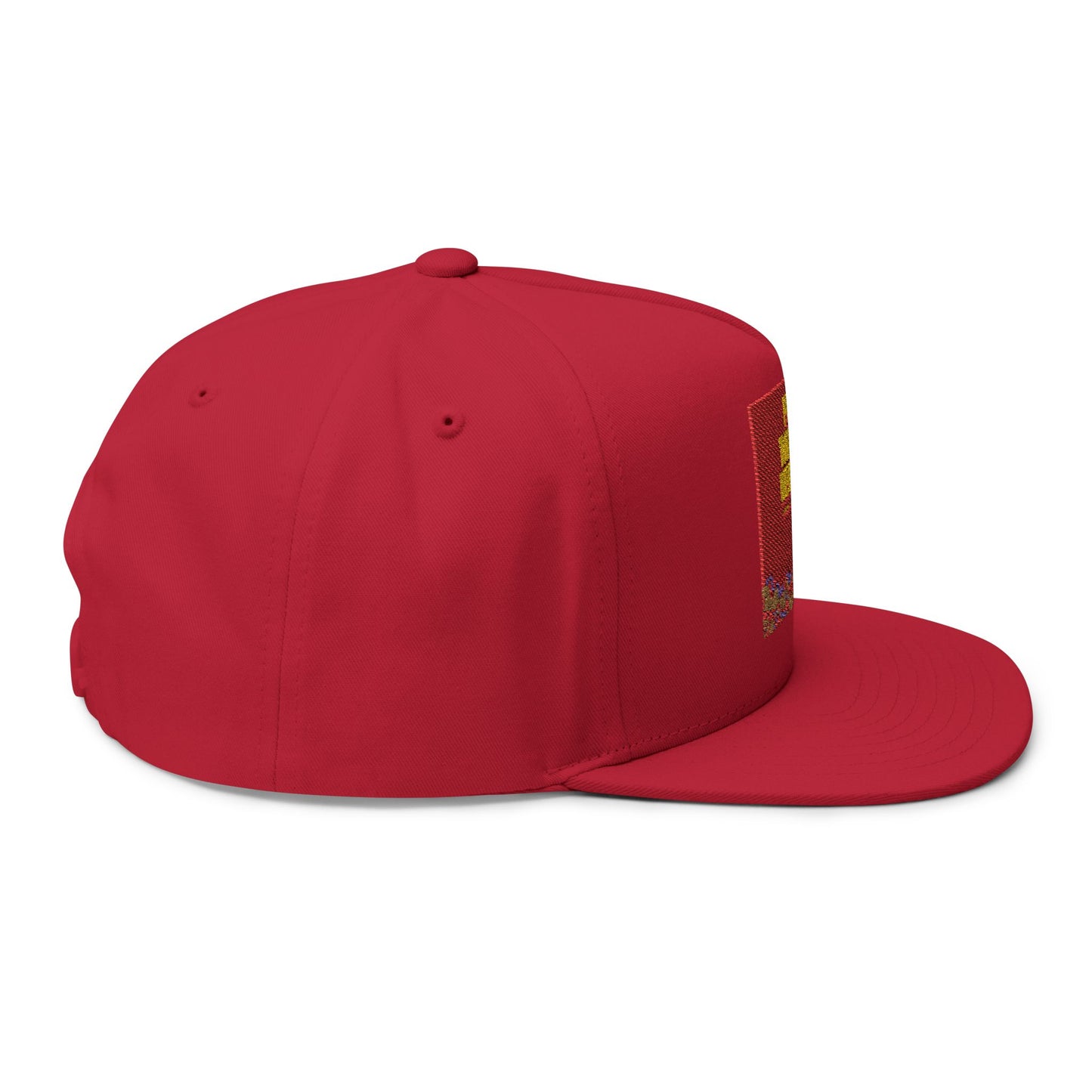 FRO Thizzle Reviews - Flat Bill Cap