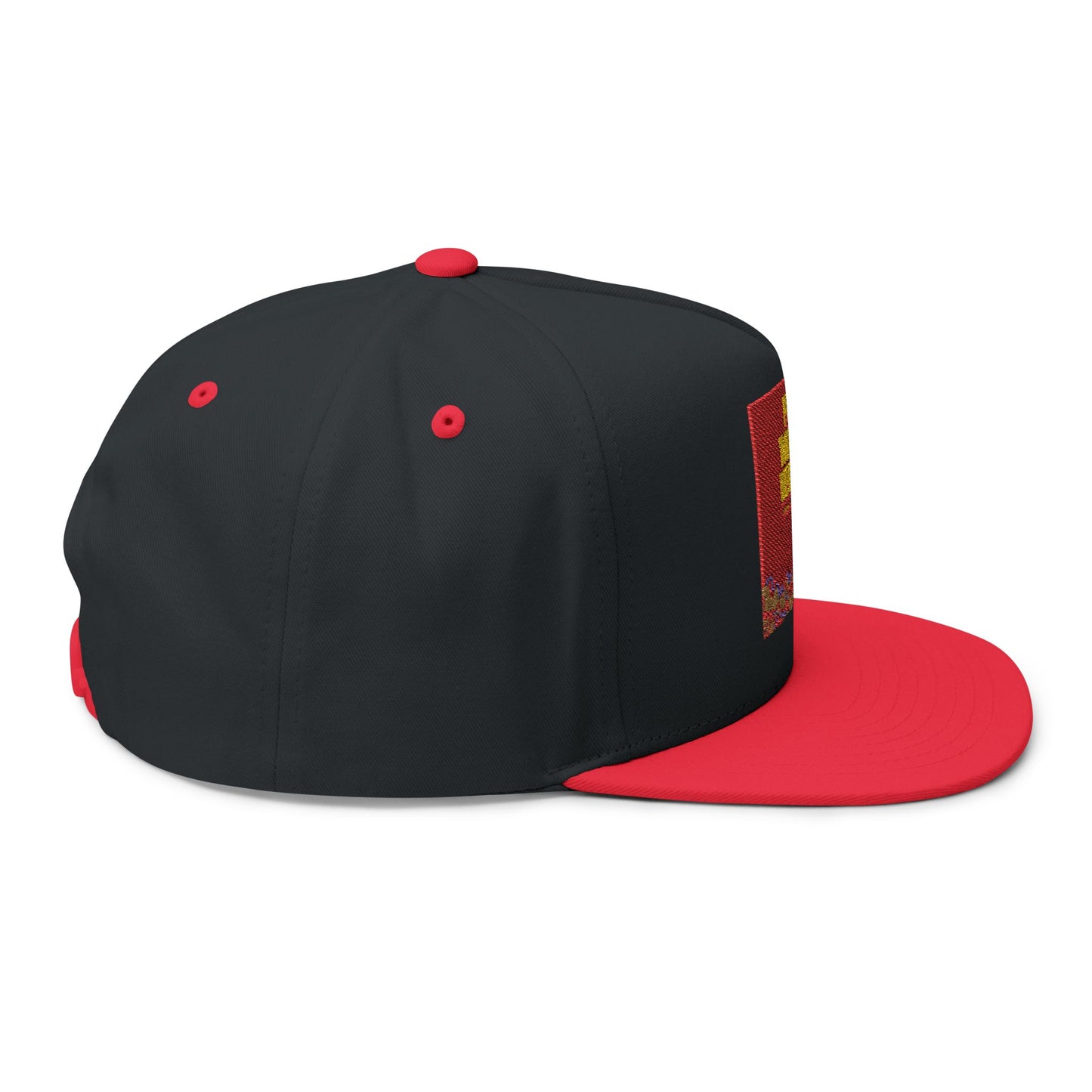 FRO Thizzle Reviews - Flat Bill Cap