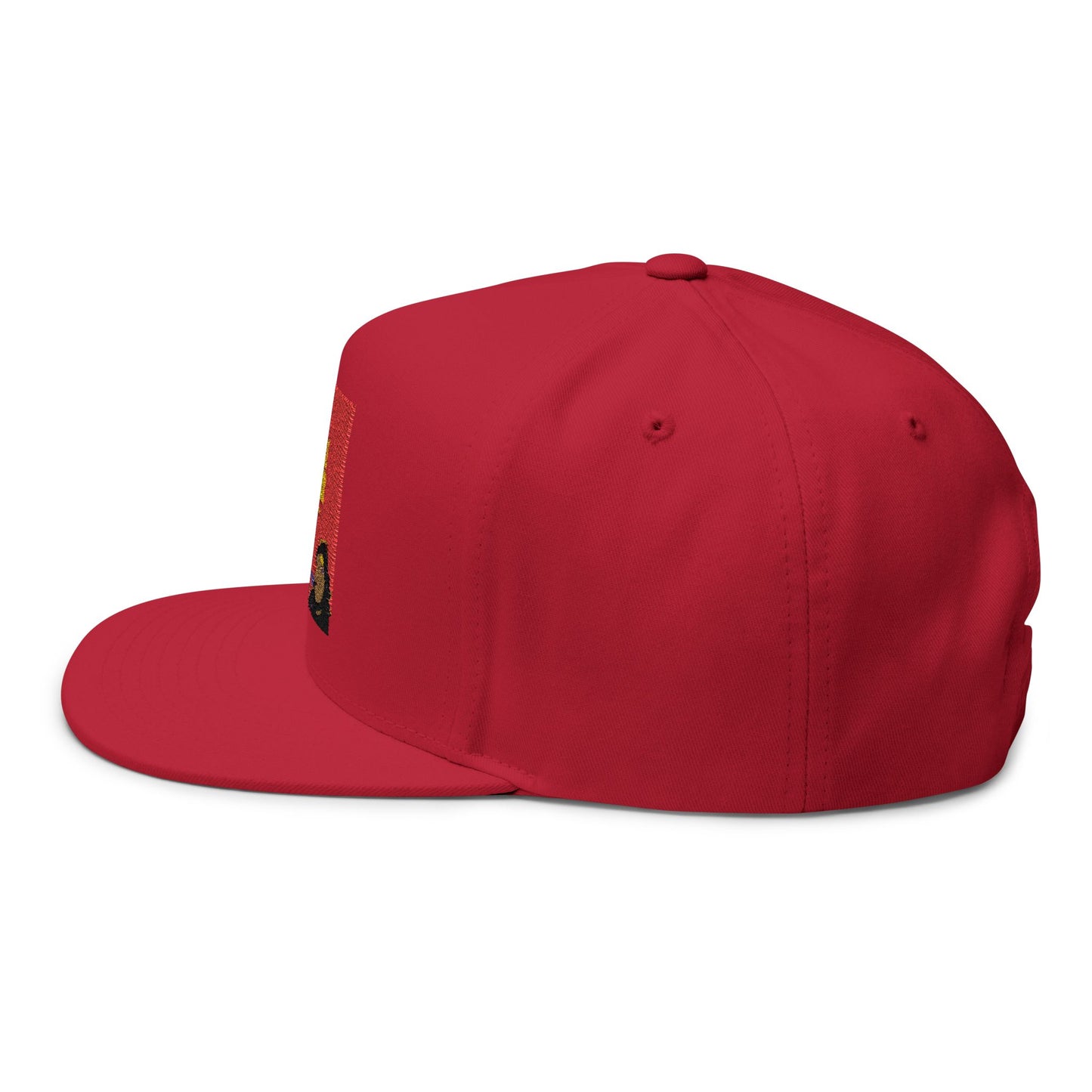 FRO Thizzle Reviews - Flat Bill Cap